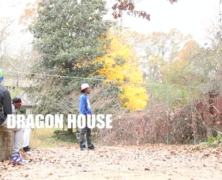 Dragon House – Illusion of Choice