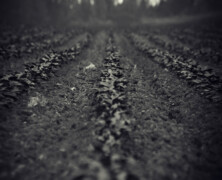April 28th, 2012