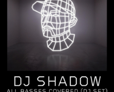Shadow Kicked Off Decks in Miami